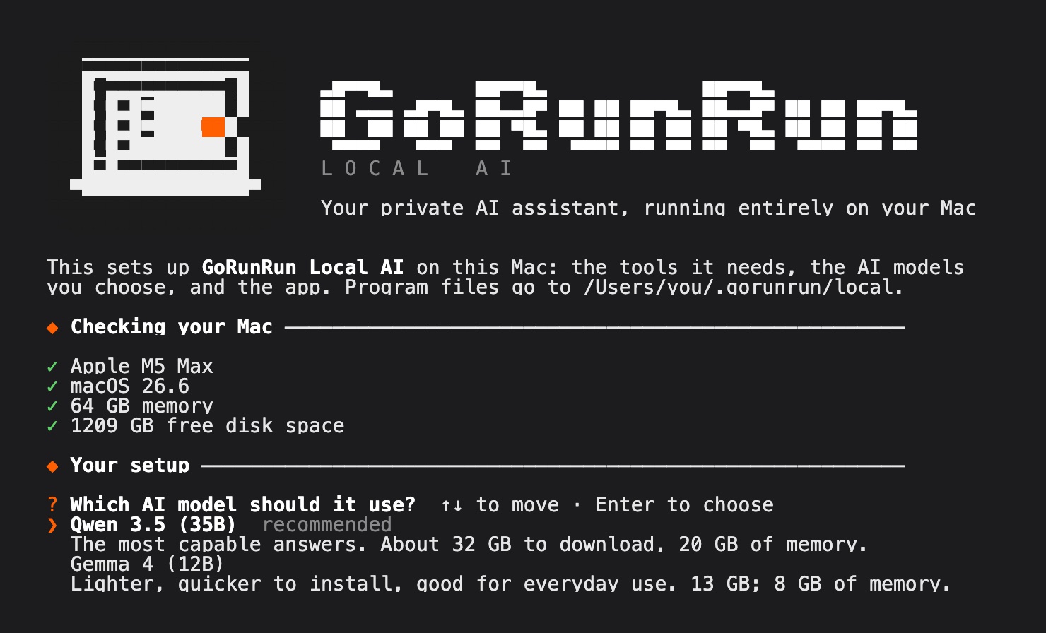 The GoRunRun Local AI installer asking which AI model to use